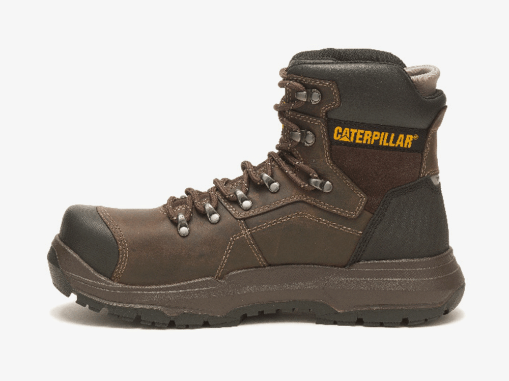 Cat-Diagnostic-2.0-Brown-S3-2