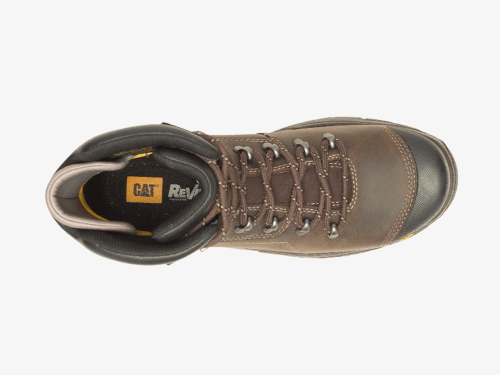 Cat-Diagnostic-2.0-Brown-S3-3