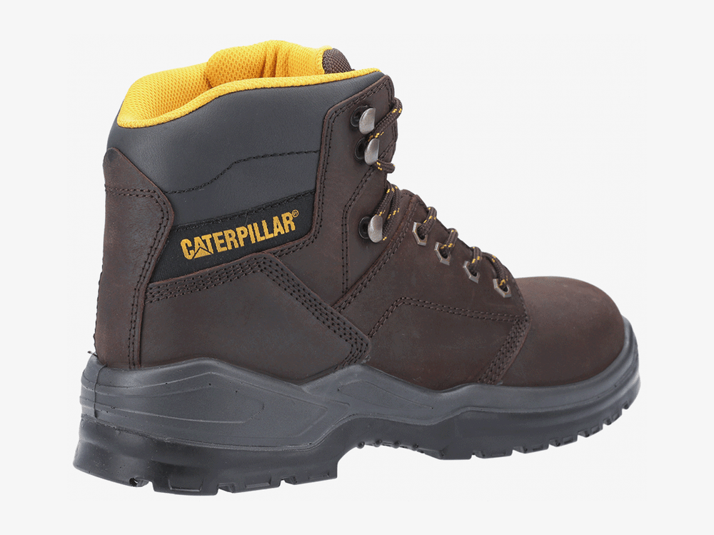 Cat-Striver-Brown-S3-2